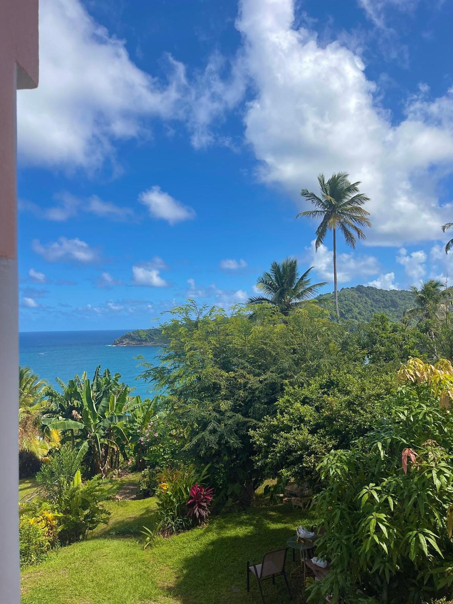 Happy Nest Dominica Hotel Marigot Kültér fotó